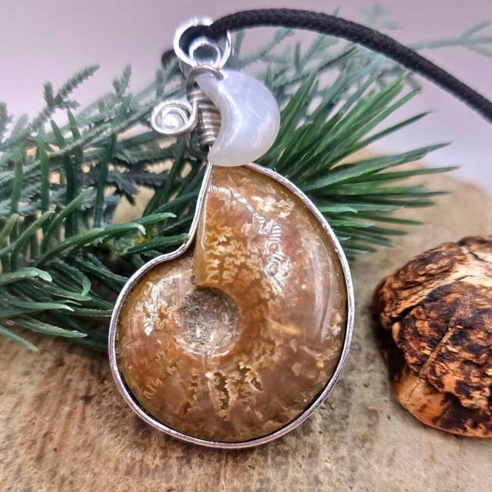 Nature Flashy Ammonite Moonstone Moon Wire Wrapped Pendant Necklace